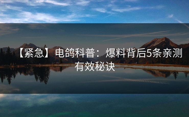 【紧急】电鸽科普：爆料背后5条亲测有效秘诀