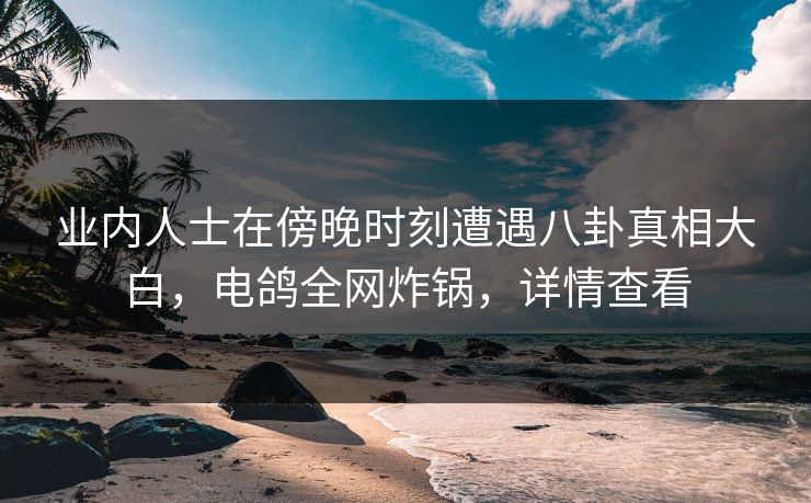 业内人士在傍晚时刻遭遇八卦真相大白，电鸽全网炸锅，详情查看